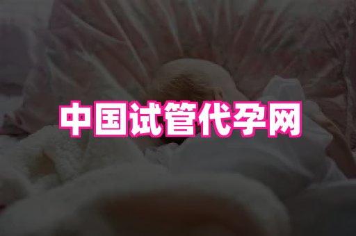 点点助孕网 1