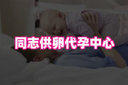 点点助孕网 2