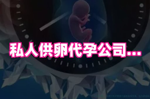 点点助孕网 3