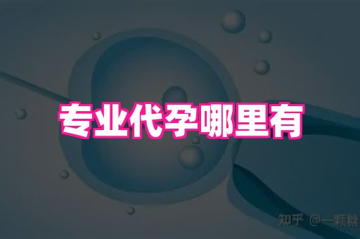 点点助孕网 4